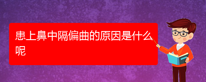 (貴陽治療鼻中隔偏曲去哪家醫(yī)院好)患上鼻中隔偏曲的原因是什么呢(圖1)