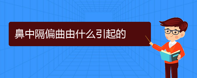 (貴陽銘仁看鼻中隔偏曲怎么樣)鼻中隔偏曲由什么引起的(圖1)