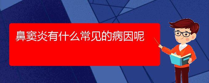 (貴陽治鼻竇炎最好的醫(yī)院在哪里)鼻竇炎有什么常見的病因呢(圖1)