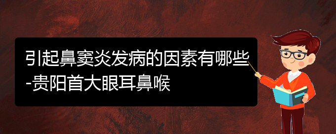 (貴陽治療鼻竇炎的專業(yè)醫(yī)院)引起鼻竇炎發(fā)病的因素有哪些-貴陽首大眼耳鼻喉(圖1)