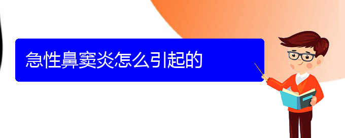 (貴陽看鼻竇炎大概需要多少錢)急性鼻竇炎怎么引起的(圖1)