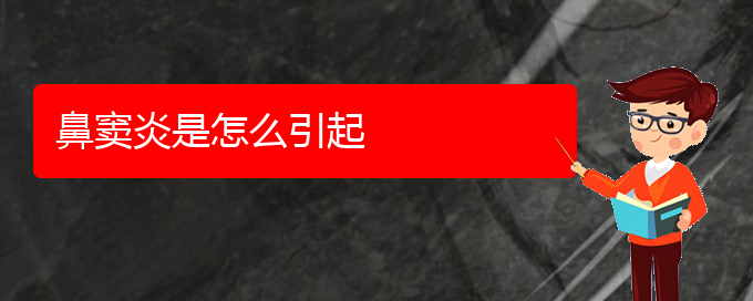 (看鼻竇炎貴陽(yáng)權(quán)威的醫(yī)生)鼻竇炎是怎么引起(圖1)