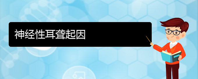 (貴陽(yáng)看耳聾大概需要多少錢(qián))神經(jīng)性耳聾起因(圖1)